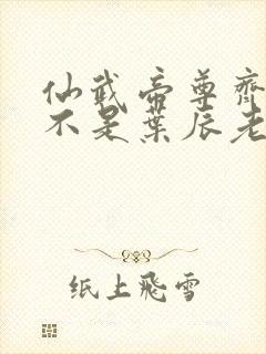 仙武帝尊齐月是不是叶辰老婆