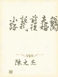 小说前夫总想套路我复婚阅读