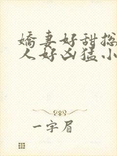 娇妻好甜总裁大人好凶猛小说