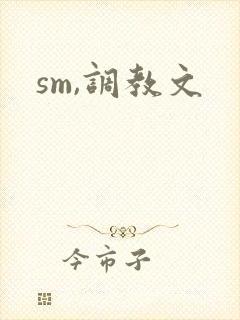 sm,调教文