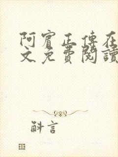 阿宾正传在线全文免费阅读无删减封面