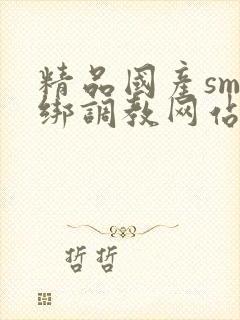 精品国产sm捆绑调教网站