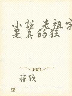 小说 老祖宗她是真的狂封面