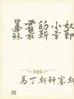 暴君的小奴妻叶苏最新章节更新内容