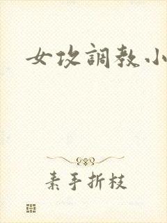 女攻调教小说封面