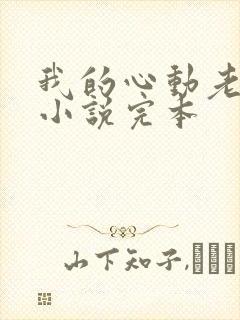 我的心动老板娘小说完本