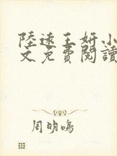 陆远王妍小说全文免费阅读封面