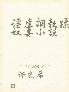 淫虐调教蹂躏共奴妻小说封面