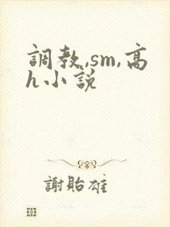 调教,sm,高h小说封面