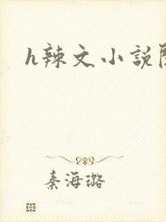 h辣文小说阅读