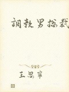 调教男总裁小说