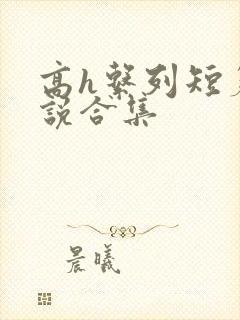 高h系列短篇小说合集