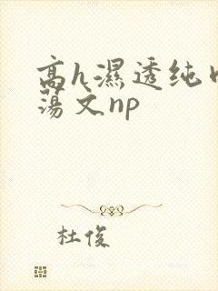高h湿透纯肉放荡文np