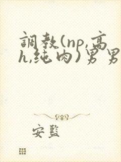 调教(np,高h,纯肉)男男