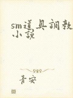 sm道具调教文小说