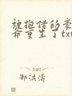 被抱错的豪门少爷重生了txt