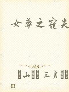 女尊之宠夫小说