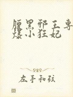 腹黑邪王专宠火爆小狂妃