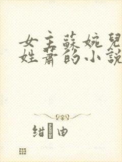 女主苏婉儿男主姓萧的小说