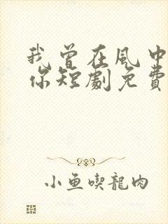 我曾在风中遇见你短剧免费观看