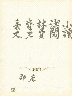 秦齐林洁小说全文免费阅读最新章节