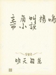 主角叫杨鸣的都市小说封面