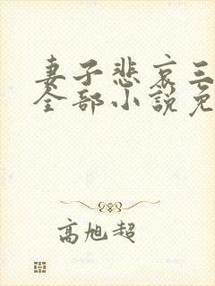 妻子悲哀三部曲全部小说免费阅读