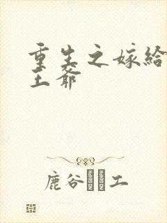 重生之嫁给残疾王爷