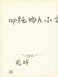 np纯肉h小说封面