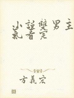 小说双男主一口气看完