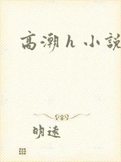 高潮 h 小说封面