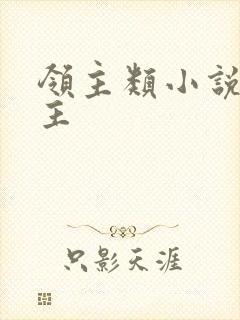 领主类小说多女主