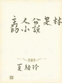 主人公是林晚晴的小说封面