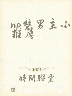 np双男主小说推荐