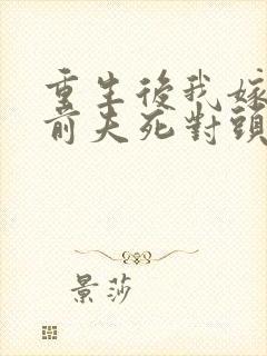 重生后我嫁给了前夫死对头小说