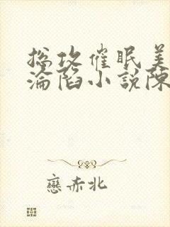 总攻催眠美人的沦陷小说陈楚敬封面