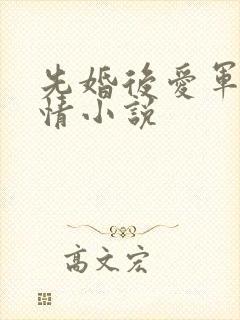 先婚后爱军旅言情小说