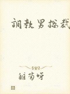 调教男总裁sm封面