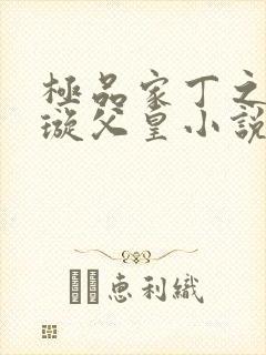 极品家丁之肖青璇父皇小说