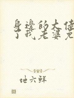 身边的大佬都成了我老婆免费阅读小说