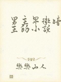 男主卑微暗恋女主的小说