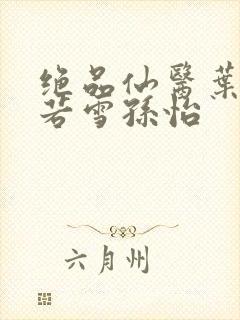 绝品仙医叶辰夏若雪孙怡封面