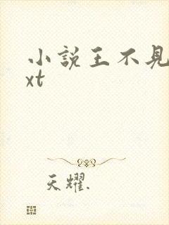 小说王不见王txt