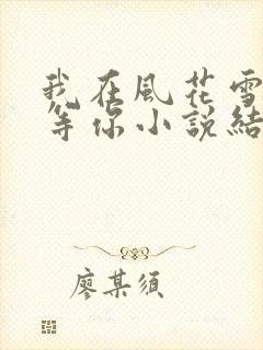 我在风花雪月里等你小说结局