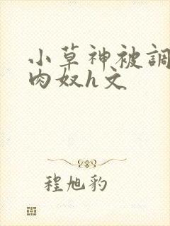 小草神被调教成肉奴h文