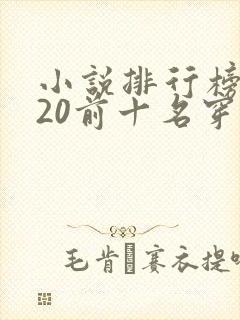 小说排行榜2020前十名穿越完结