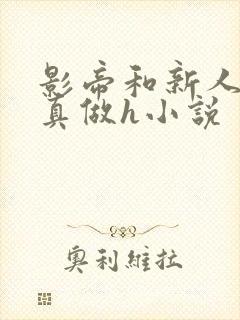 影帝和新人床戏真做h小说封面