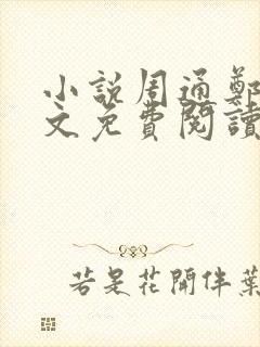 小说周通郑燕全文免费阅读无弹窗