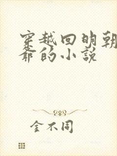 穿越回明朝当王爷的小说