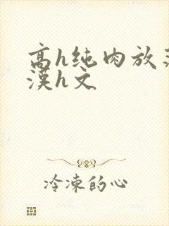高h纯肉放荡糙汉h文